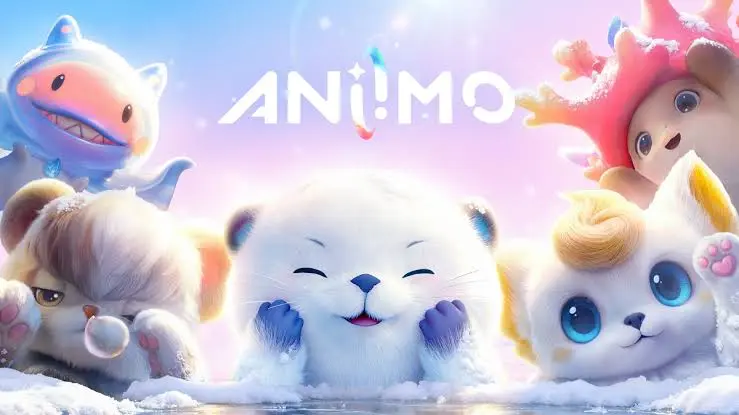 What You Need to Know Before Launch Day