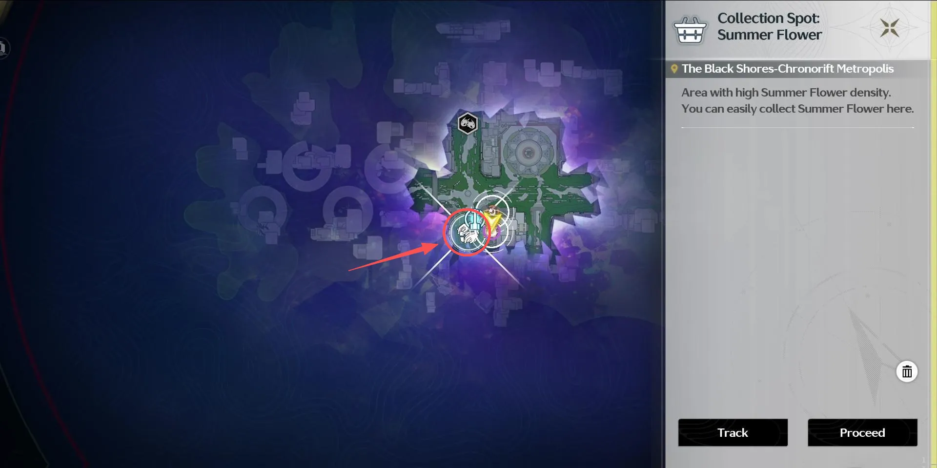 Collection Spot: Summer Flower