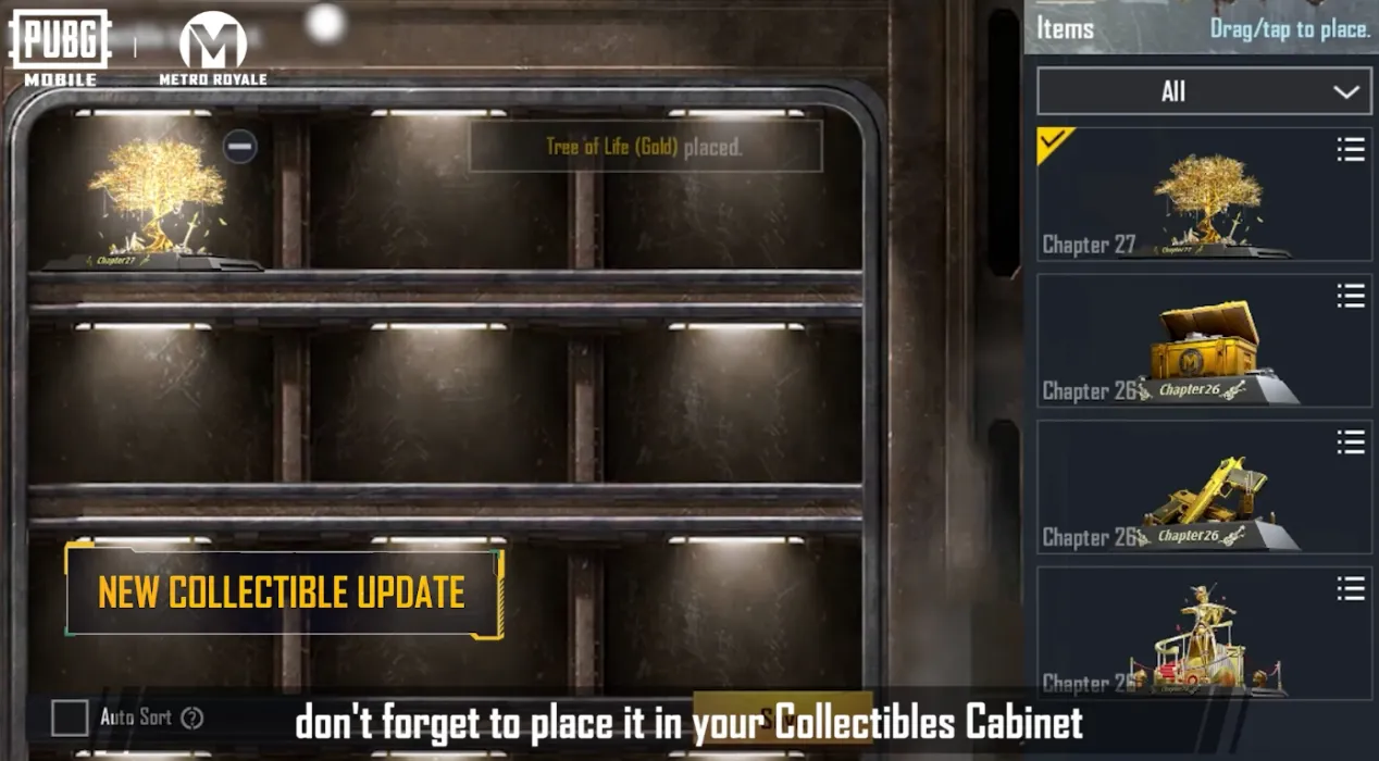 Collectibles Cabinet