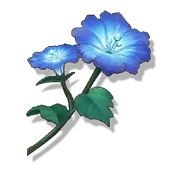 見月花