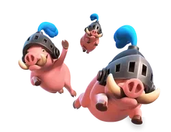 Royal Hogs