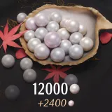 12000+2400 Echo Beads | Where Winds Meet