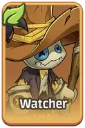 watcher