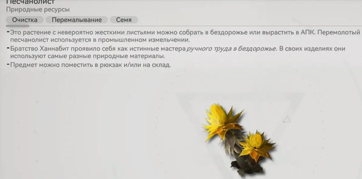 песчанолист