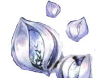 300 Phoxene Plumule | Duet Night Abyss