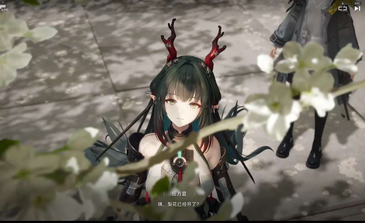 ゾアン・ファンイ