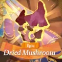 Dried Mushroom
