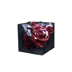 60 Ultracubes | Path to Nowhere