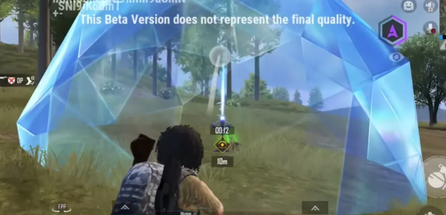 Energy Shield (consumable)