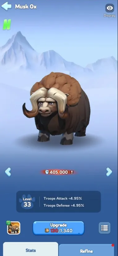 musk ox