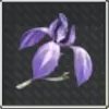 Bamboo Iris