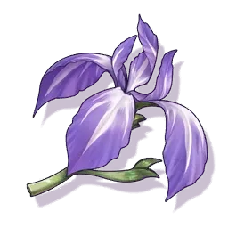 Bamboo Iris