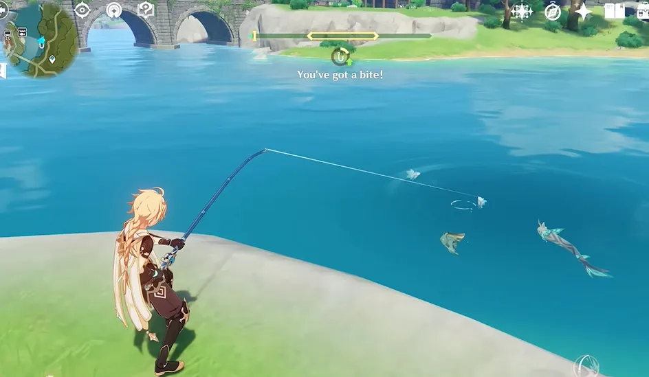 interaction systems.