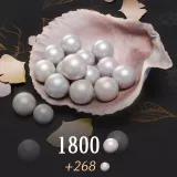 1800+268 Echo Beads | Where Winds Meet