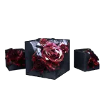 300+30 Ultracubes | Path to Nowhere