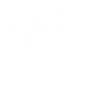 S2: 於血戮中滌塵