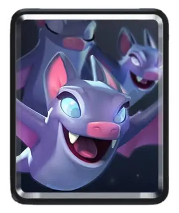 Bats