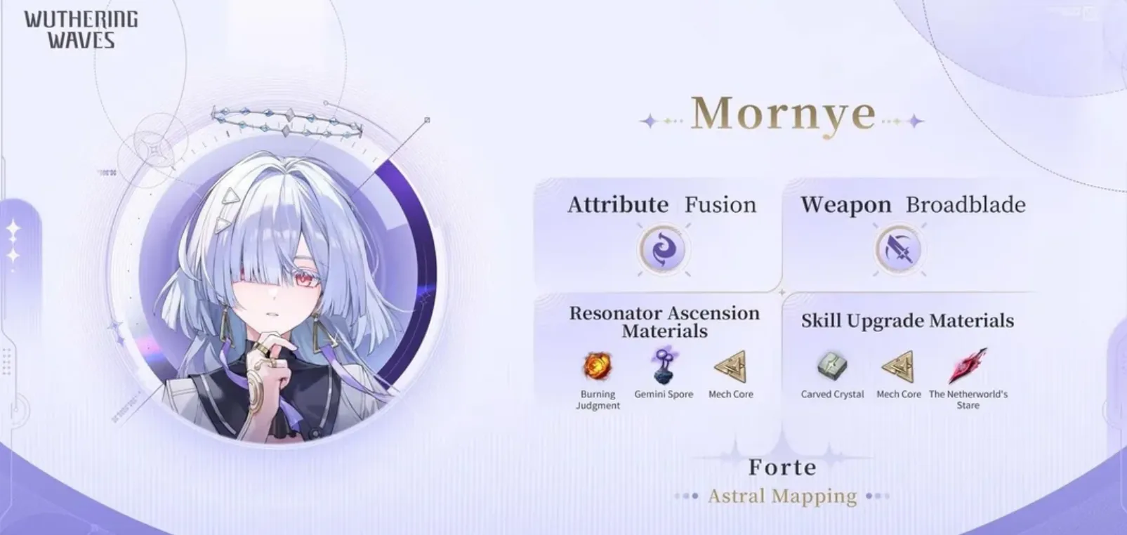 Resumen de Materiales de Mornye