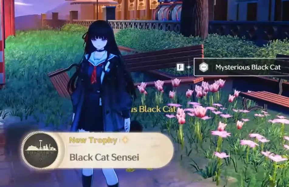 Black Cat Sensei