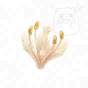 迷夢花蕊