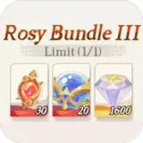 Rosy Bundle Ⅲ | AFK Journey