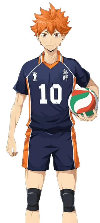 Shoyo Hinata (SP)