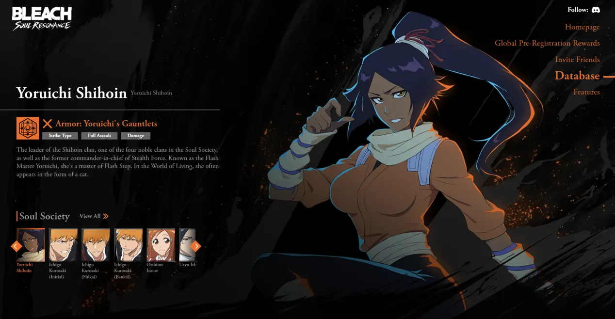 Yoruichi Shihoin