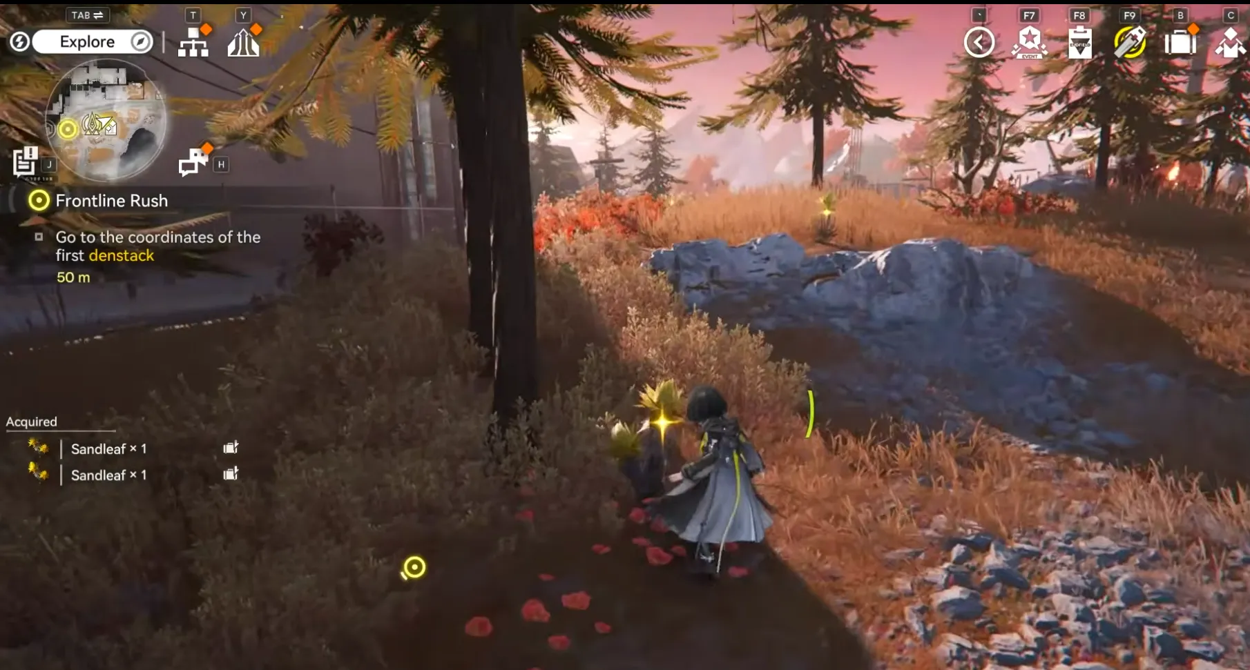 where to find sandleaf