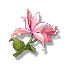 Pecok Flower