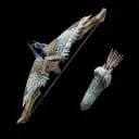 Pulsar Bow line