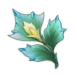 шпороцветник