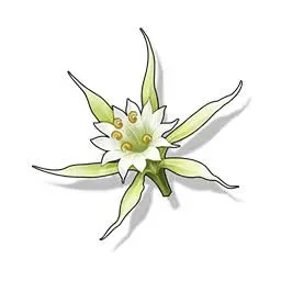 Blade Blossom