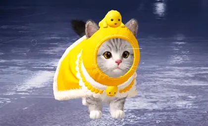 Nailoong Cape Buddy Set