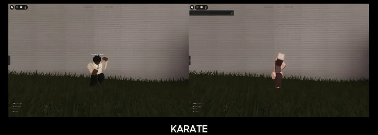 Gakuran Beginner Guide