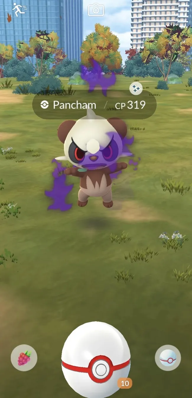 Shadow Pancham counters for Sierra in Pokemon GO
