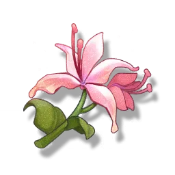 Pecok Flower