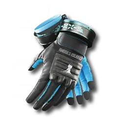 LYNX Gloves