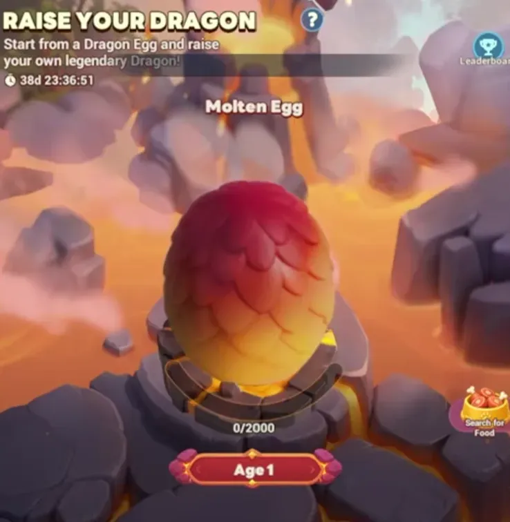 Dragon Feed System