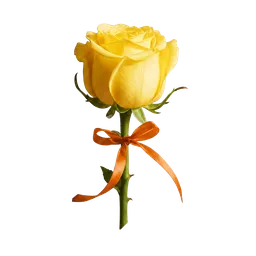Last Z Yellow Rose lucky rose number