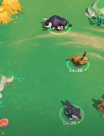 Kingshot pets
