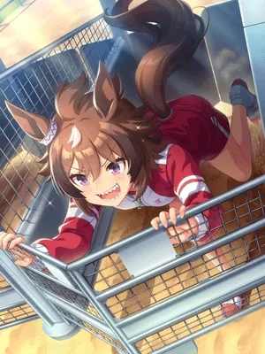 Shinko Windy (SR)