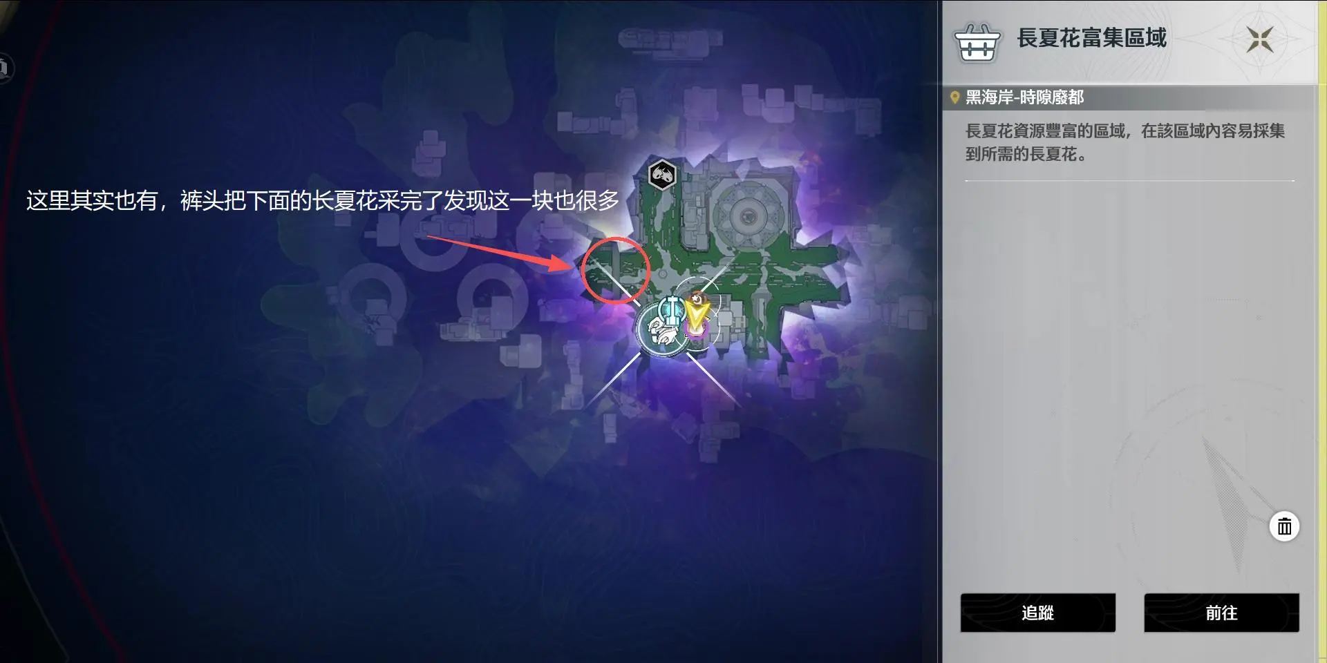 長夏花富集區域