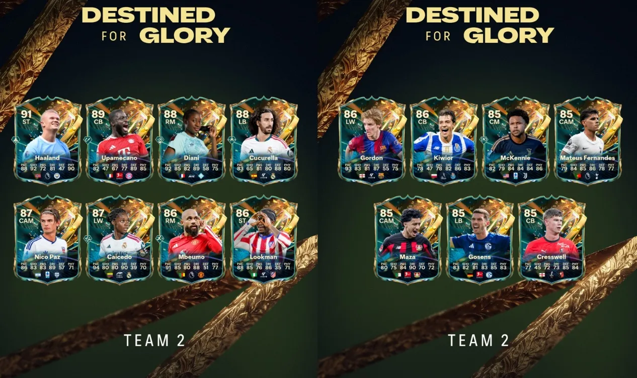 Destined for Glory Team 2