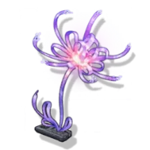 Forget-Me-Not