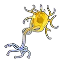 Seedling of Manas