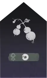 Flying Gourds