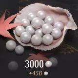 3000+458 Echo Beads | Where Winds Meet