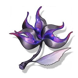星之夢