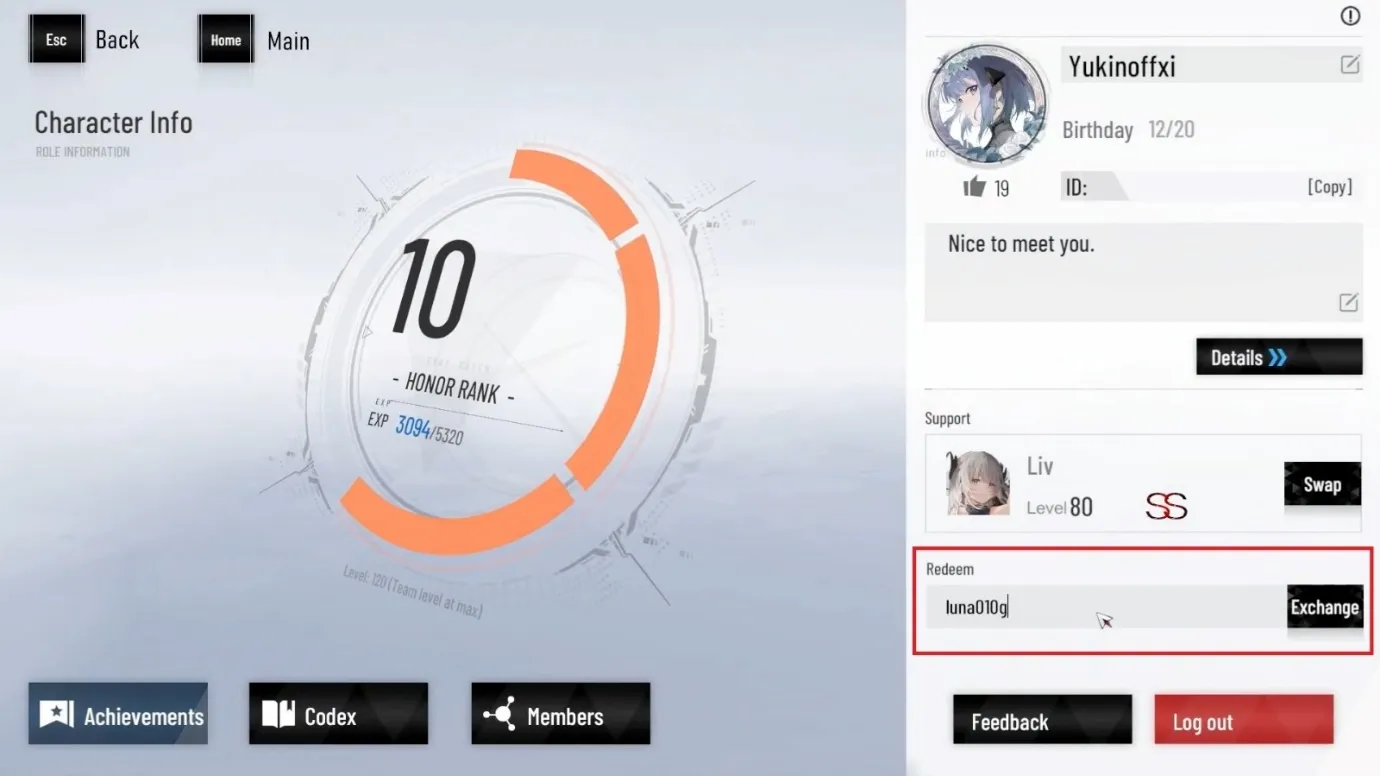 Punishing Gray Raven Codes