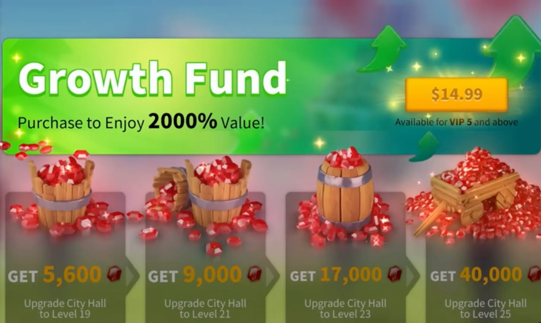 rok Growth Fund